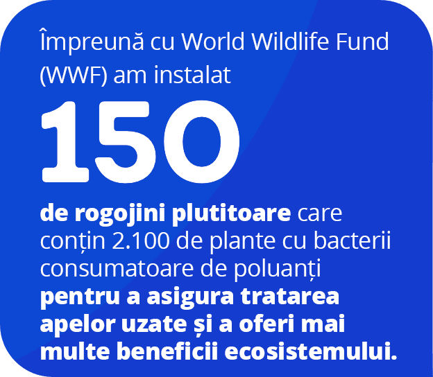 With WWF, we installed 150 floating mats holding 2,100 plants with pollutant-eating bacteria to provide wastewater treatment and ecosystem benefits.