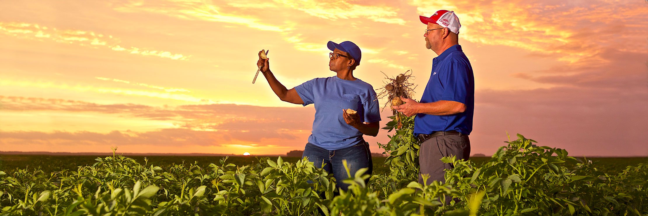 food-system-header-desktop