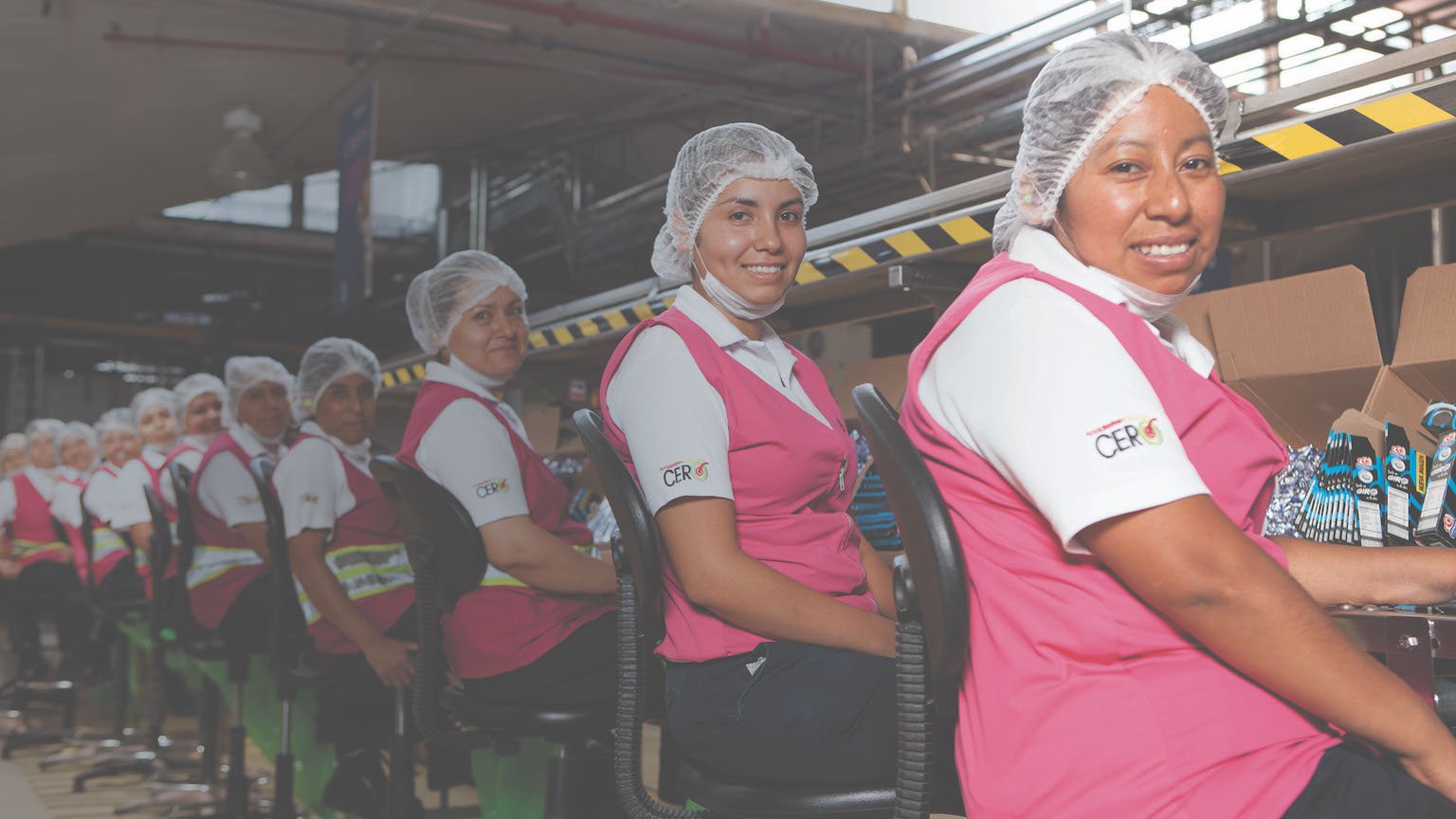 Investing in Our Communities - La Linea Rosa - Pink Line