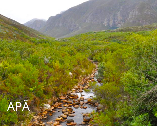 PepsiCo focuses on Water Stewardship